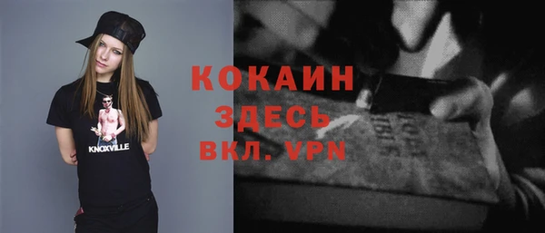 дживик Белокуриха