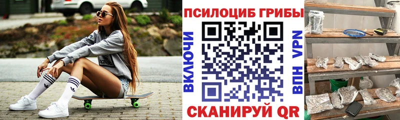 Псилоцибиновые грибы Psilocybe  Константиновск 